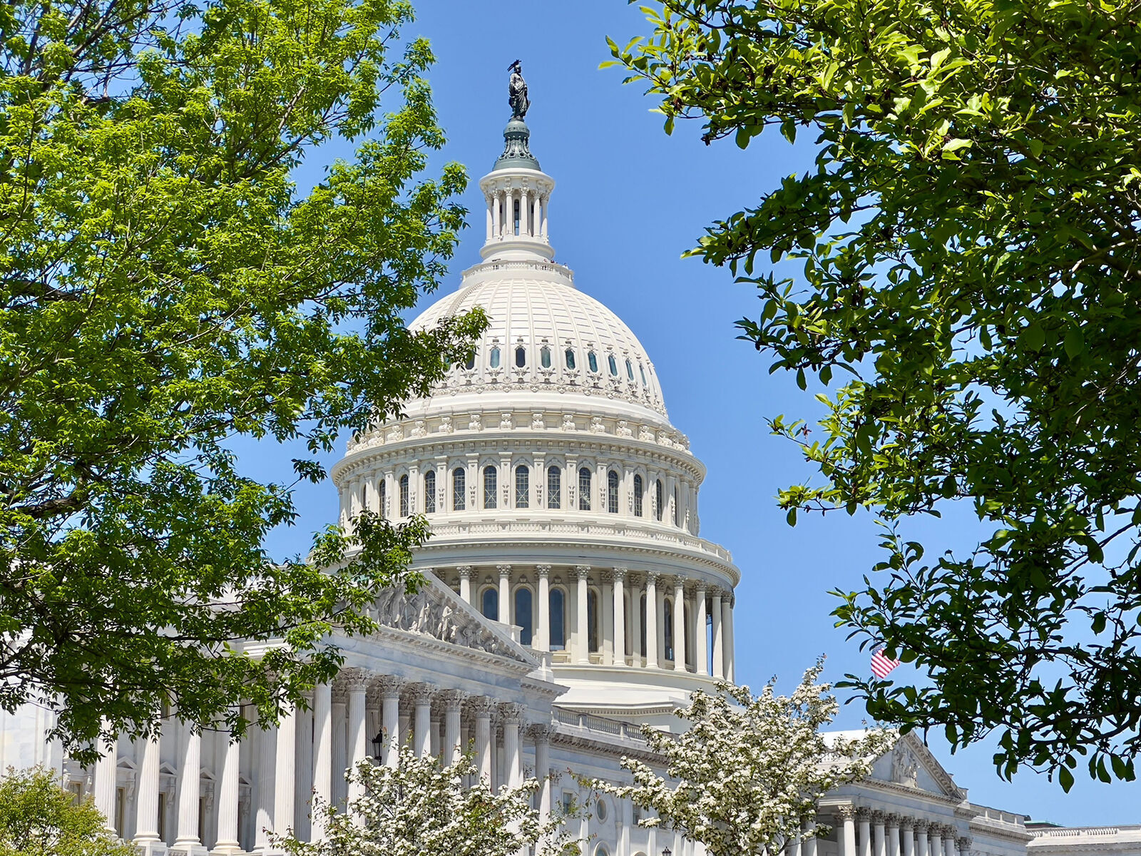 An analysis: May primaries will set up several November races